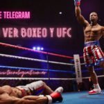 Canales de Telegram para ver Peleas de Boxeo y UFC por Streaming en Vivo Online